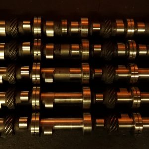 DSC08969-300x300.jpg